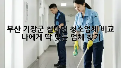 부산 기장군 철마면 청소업체 비교: 나에게 딱 맞는 업체 찾기!